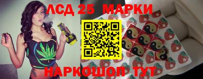 гашик Можга