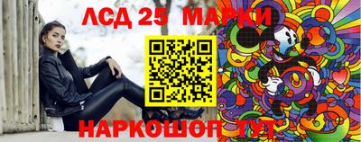 гашик Можга