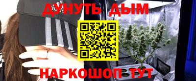 гашик Можга