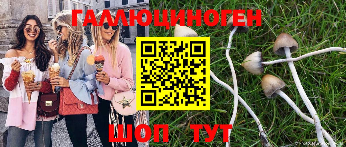 Галлюциногенные грибы Psilocybe Татарск